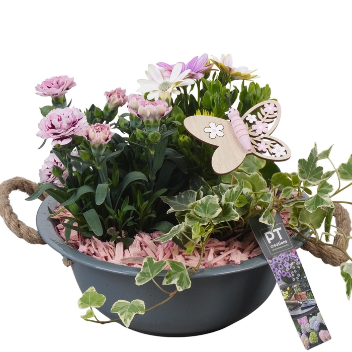 <h4>PTPP6839 Arrangement Patio in metalen schaal</h4>