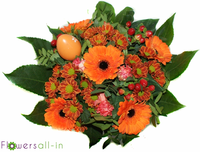 <h4>P202311 Oranje</h4>