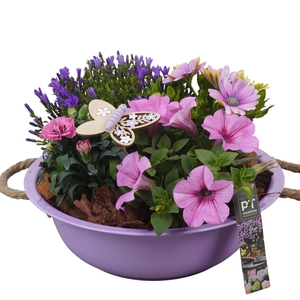 PTPP6834 Arrangement Patio in metalen schaal