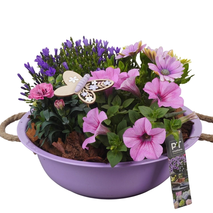 <h4>PTPP6834 Arrangement Patio in metalen schaal</h4>