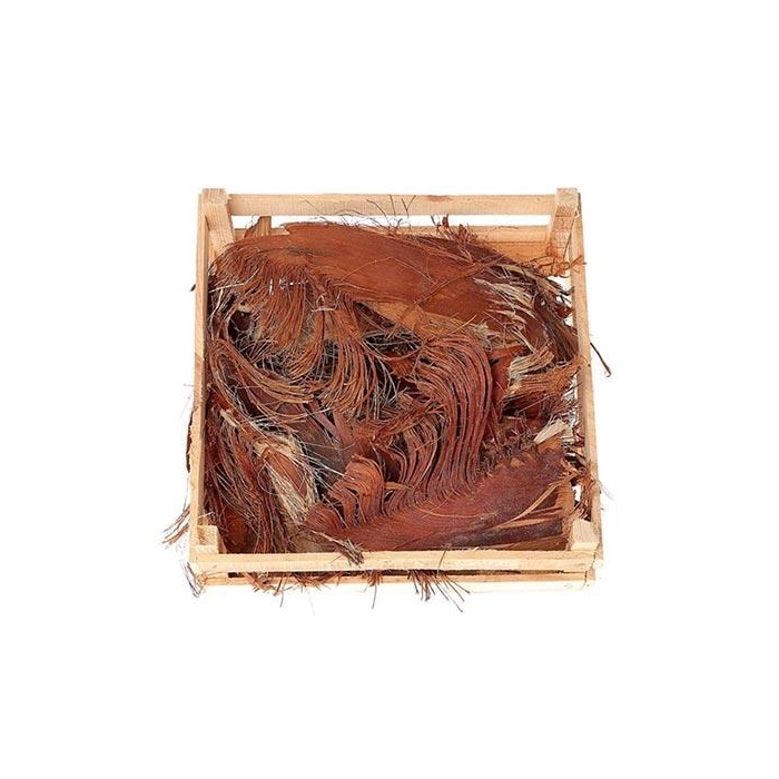 <h4>Palm Leaves L39W39</h4>