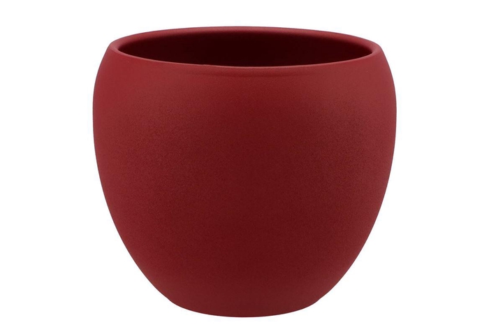 <h4>Vinci Red Velvet Flower Pot 22x19cm Nm</h4>