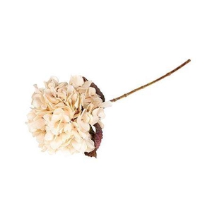 Stem Hydrangea L65