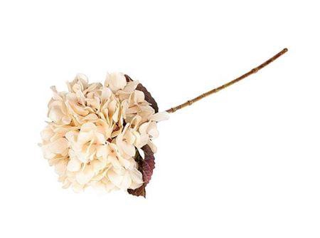 <h4>Stem Hydrangea L65</h4>