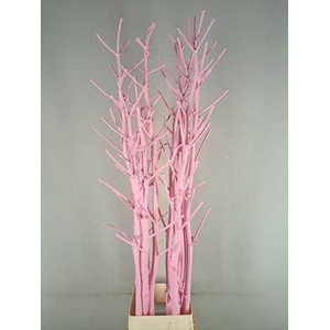 Ferule Kapstok Light Pink