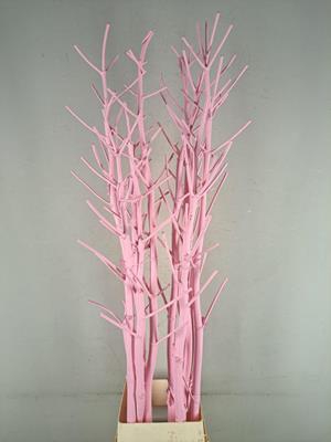 Ferule Kapstok Light Pink