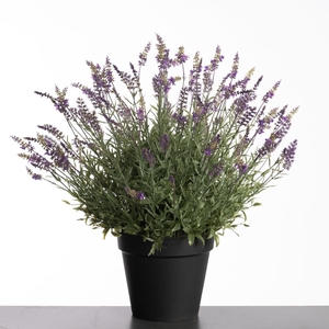AF Lavender pot H69cm Purple