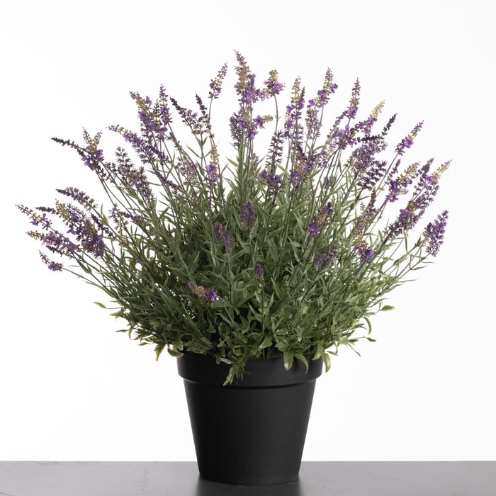 <h4>AF Lavender pot H69cm Purple</h4>