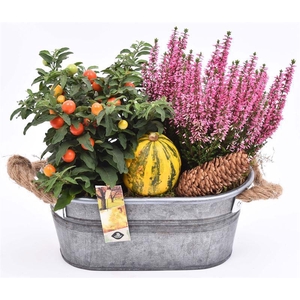 Zink ovaal gr met touwhandv 26x15cm