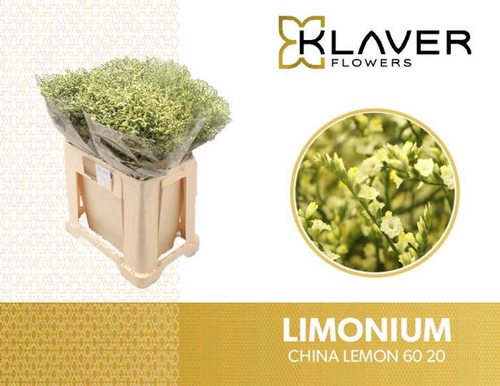 <h4>Lim Sin China Lemon</h4>