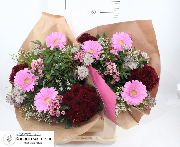 <h4>GEM BOEKET OV</h4>