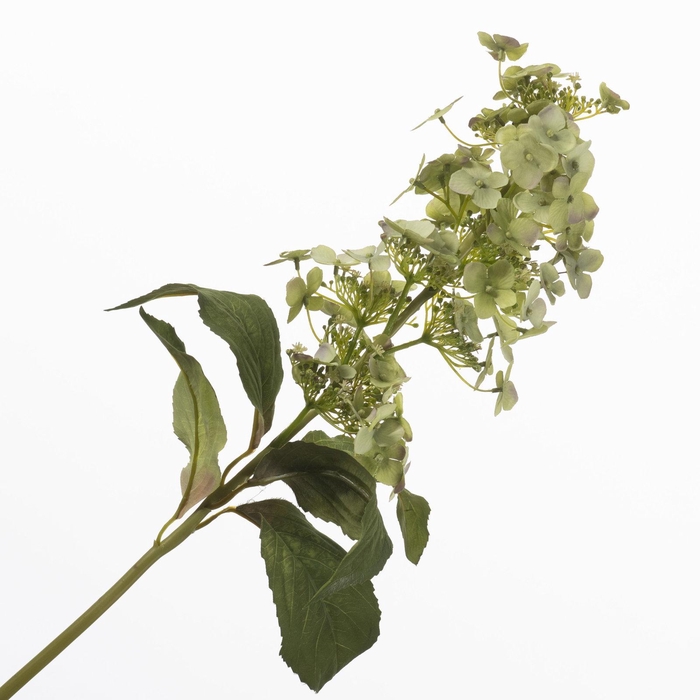 <h4>Hydrangea Butterfly Green FL440372GRN</h4>