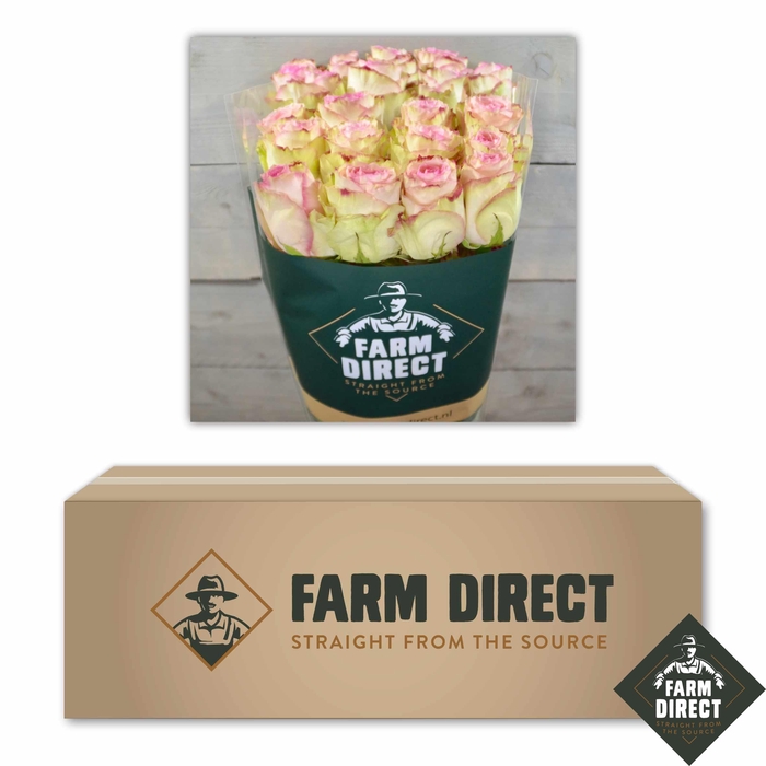 <h4>R GR ESPERANCE BOX</h4>