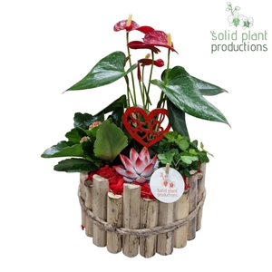 HVAE002 Milano Large Red