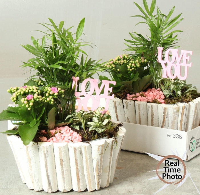 <h4>ARR KAMERPL</h4>