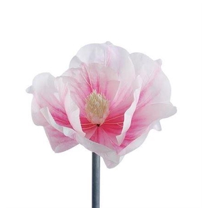 Stem Magnolia Bloom L50w50h40