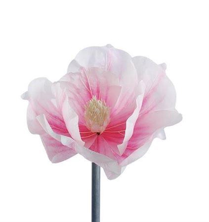 <h4>Stem Magnolia Bloom L50w50h40</h4>