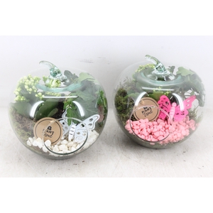 arr2 PL - Glazen appel x4 - roze/wit