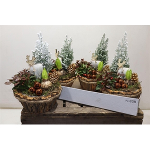 arr8 Arr Tuinplanten In Houtschors Kuip