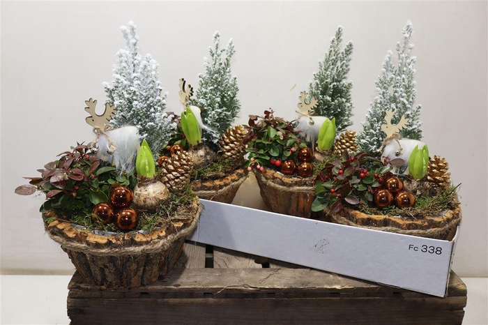 <h4>arr8 Arr Tuinplanten In Houtschors Kuip</h4>