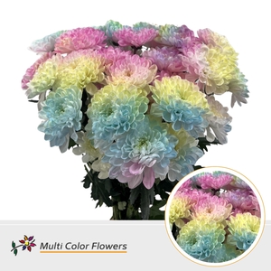 Chr T Altaj Soft Rainbow