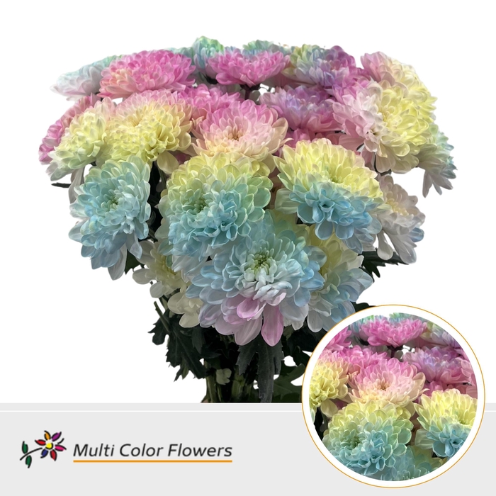 <h4>Chr T Altaj Soft Rainbow</h4>