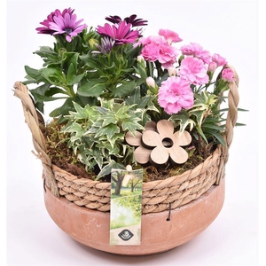 Cement schaal met wilg rand 18cm