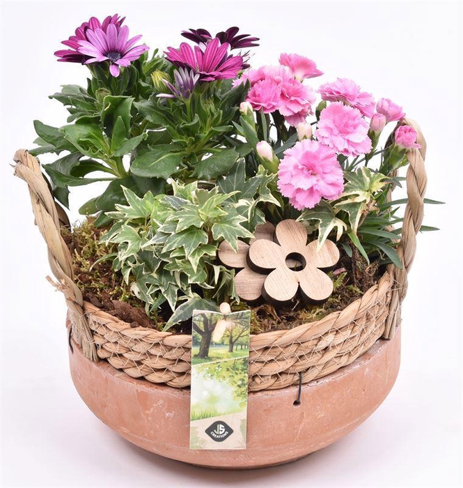 <h4>Cement schaal met wilg rand 18cm</h4>