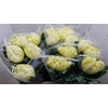 CHR G VIENNA YELLOW