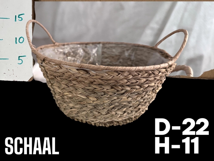 <h4>MANDWERK H%</h4>