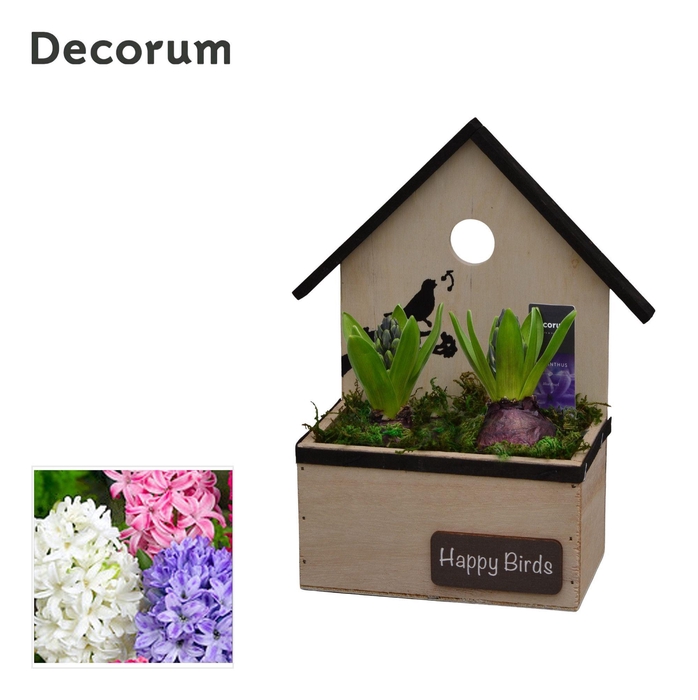 <h4>Hyacint Birdhouse HL15730 [PURE]</h4>