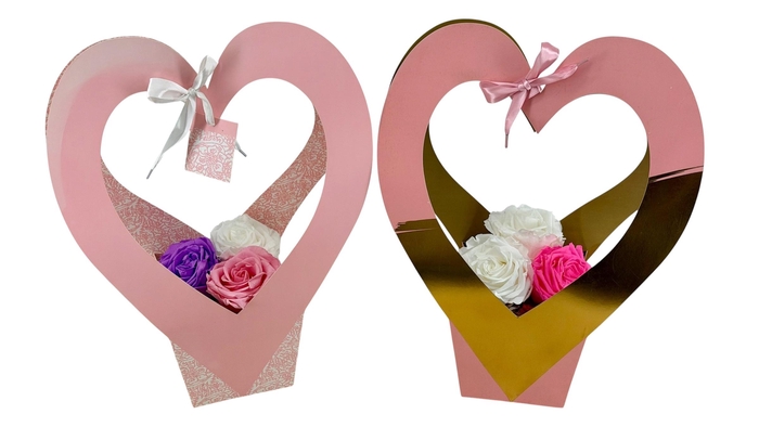 ARR ROSA POT H%