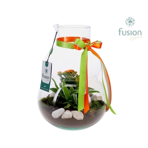 Green Bottle Olaf Medium met arrangement
