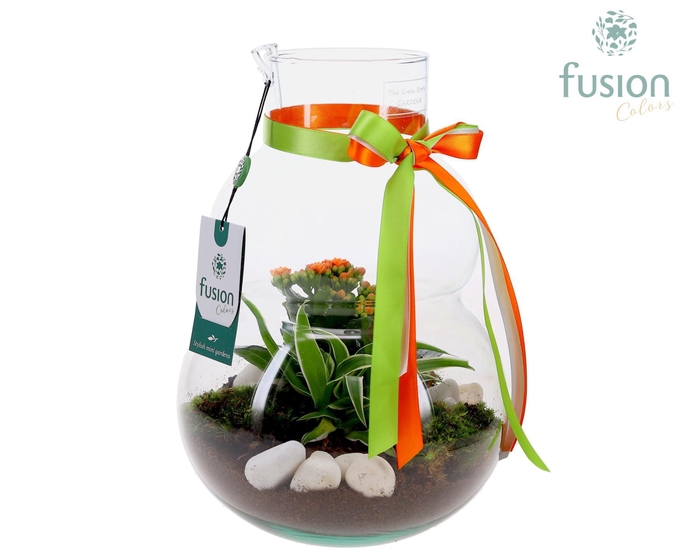 <h4>Green Bottle Olaf Medium met arrangement</h4>