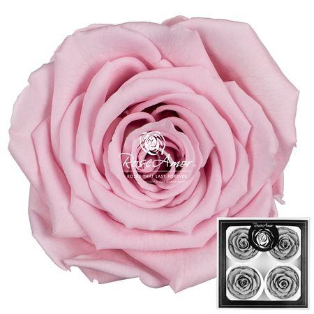 <h4>Bellisima Pin04</h4>