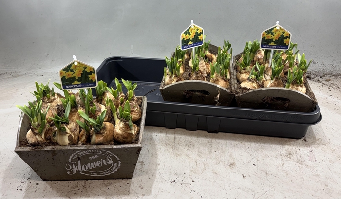 <h4>ARR N TETE A TETE</h4>