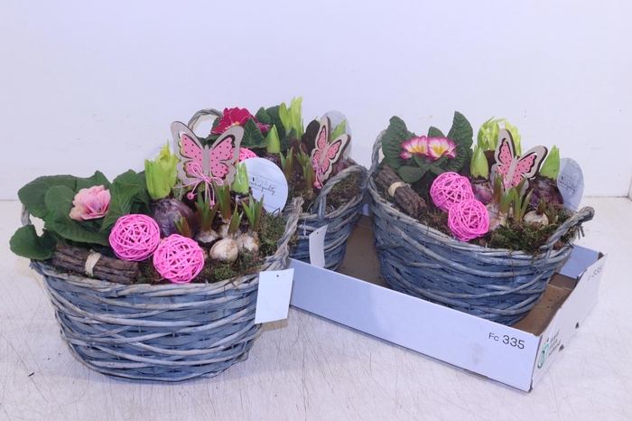 <h4>ARR TUINPLANTEN</h4>