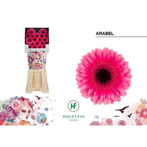 Ge Mi Arabel