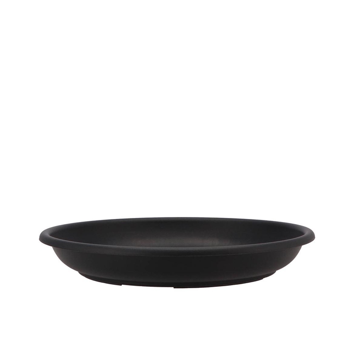 <h4>Floristry Plate 30cm P/10 Black</h4>
