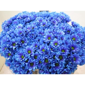 Chr T Bacardi Blue Lagoon