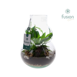 Green Bottle Olaf Medium met Pasen arrangement