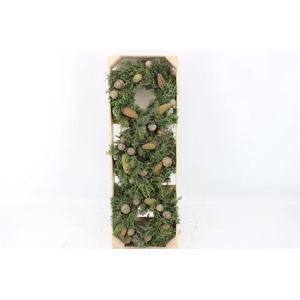 Wr Cypresse Pinecone 20cm