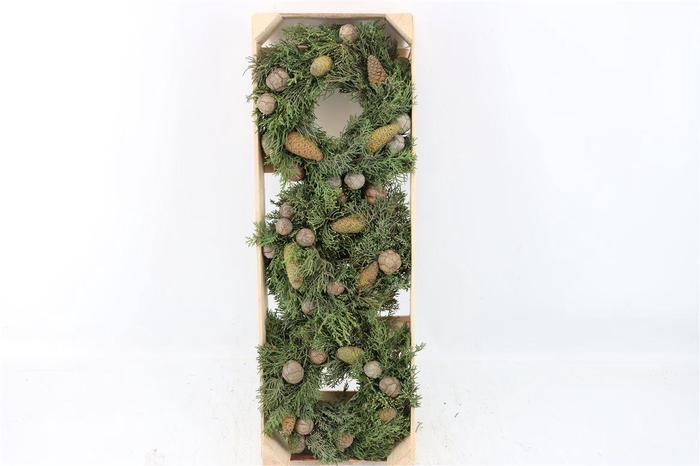 <h4>Wr Cypresse Pinecone 20cm</h4>