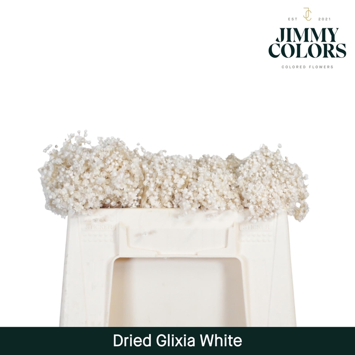 <h4>Dried Glixia White</h4>