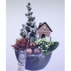 9708 BRONS KER BOOMPJE