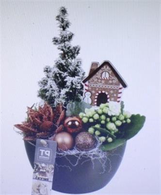 <h4>9708 BRONS KER BOOMPJE</h4>