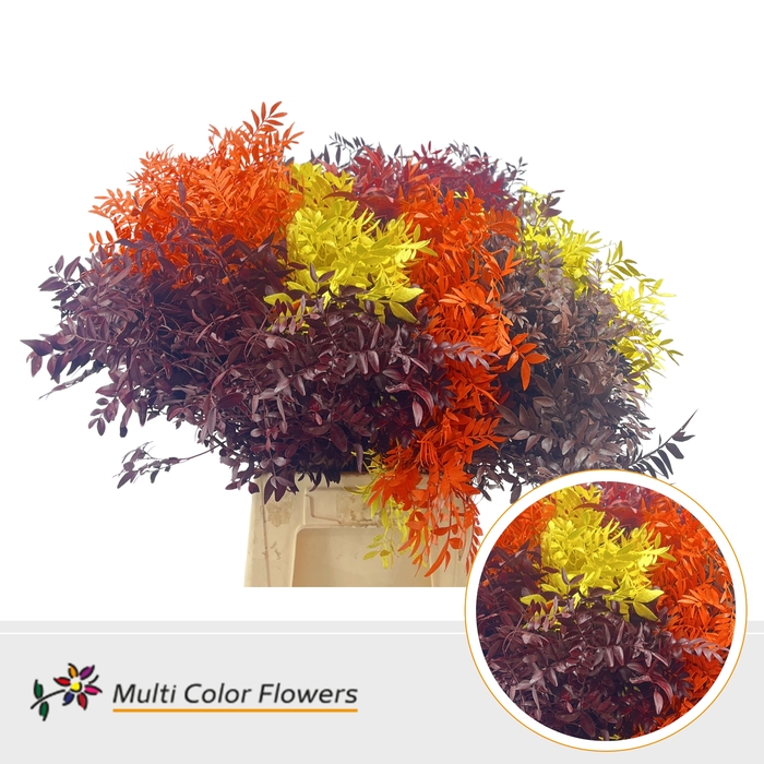 <h4>Pistache Herfst Mix</h4>