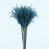 Dried Stipa Feather Azuur Blauw