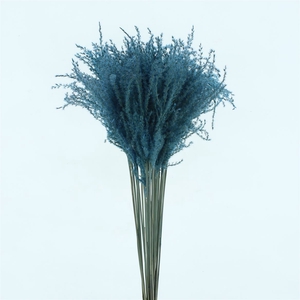 Dried Stipa Feather Azuur Blauw