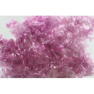 Pres Hydrangea Lilac Bunch